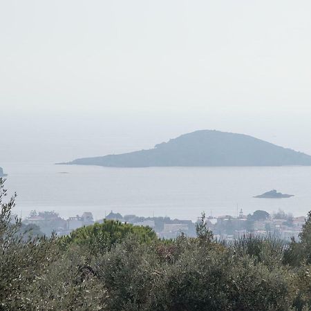 Armamento Villa Moni Evaggelistrias Екстер'єр фото